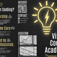 Vision Coding